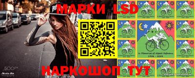 apvp Обнинск