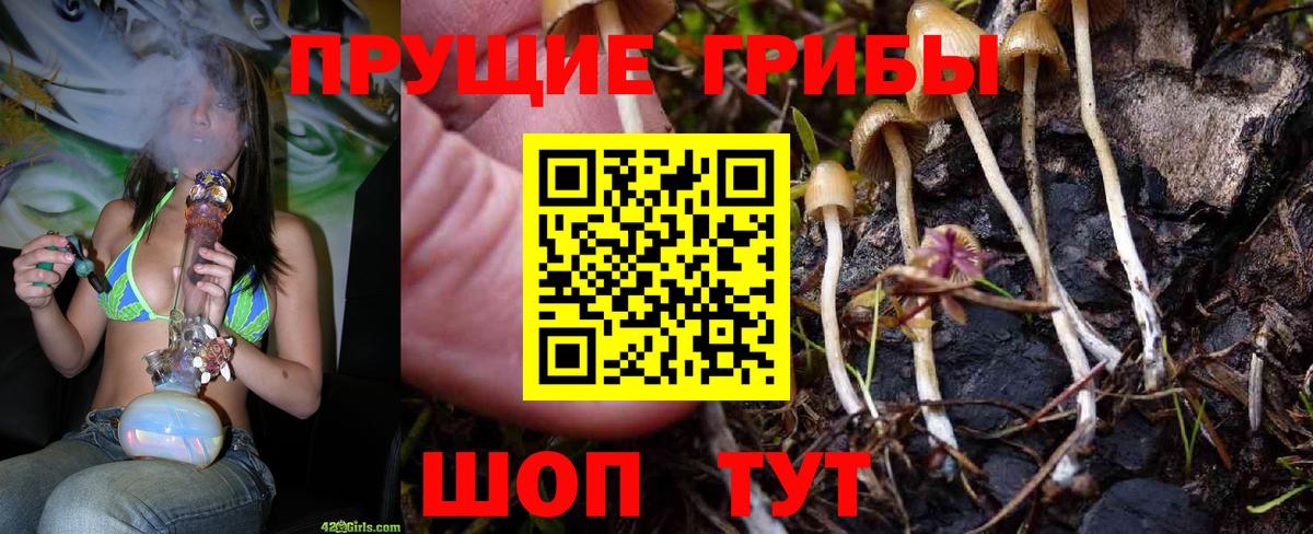 Псилоцибиновые грибы Cubensis  Вход с VPN  Тара 